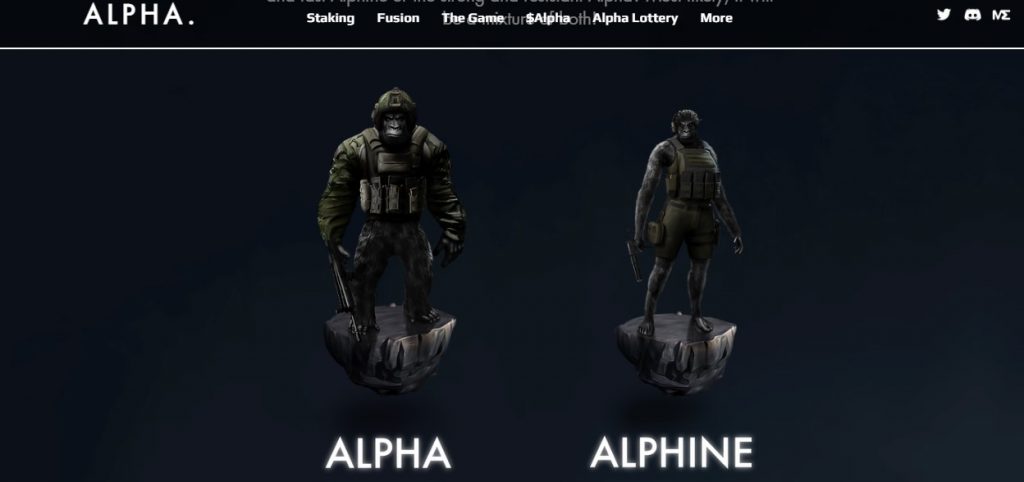 Alpha Gorillas2