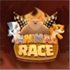 animal-race