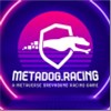 metadog-race