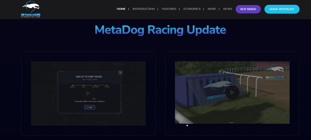 Metadog Race2