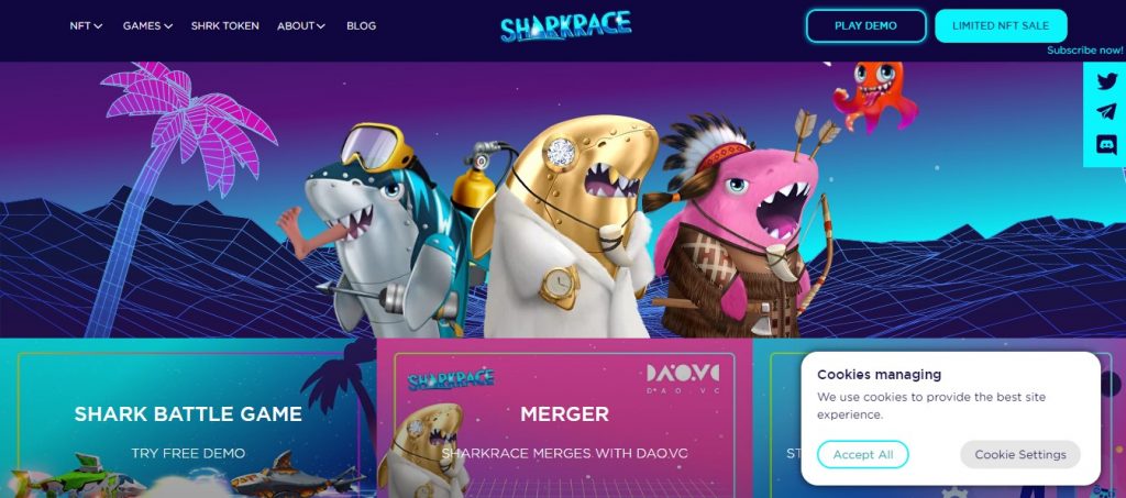 SharkRace1