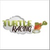 turtle-racing