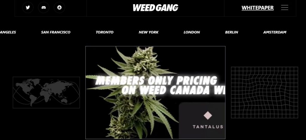 Weed Gang1