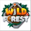 wild-forest