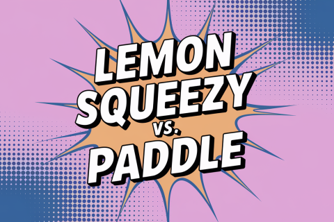 lemon squeezy vs paddle